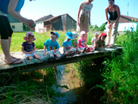 Picture61_Kopie5469 - Kopie